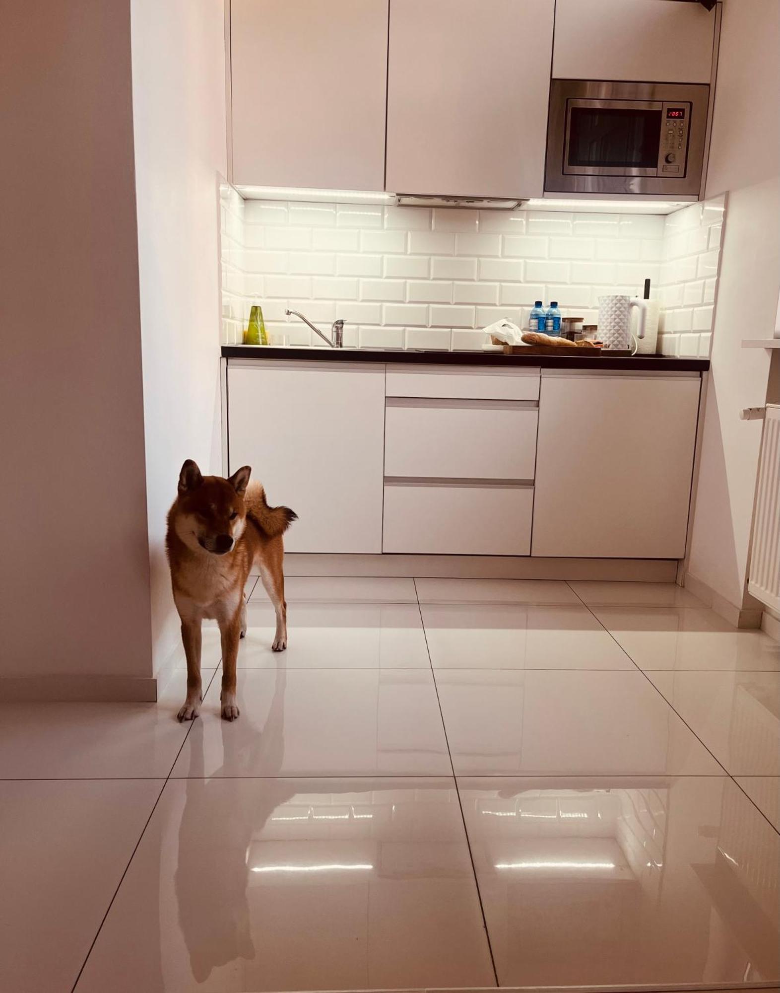 Apartament I Love Piotrkowska Z Wielkim Lustrem, Balkonem I Klimatyzacja وودج المظهر الخارجي الصورة