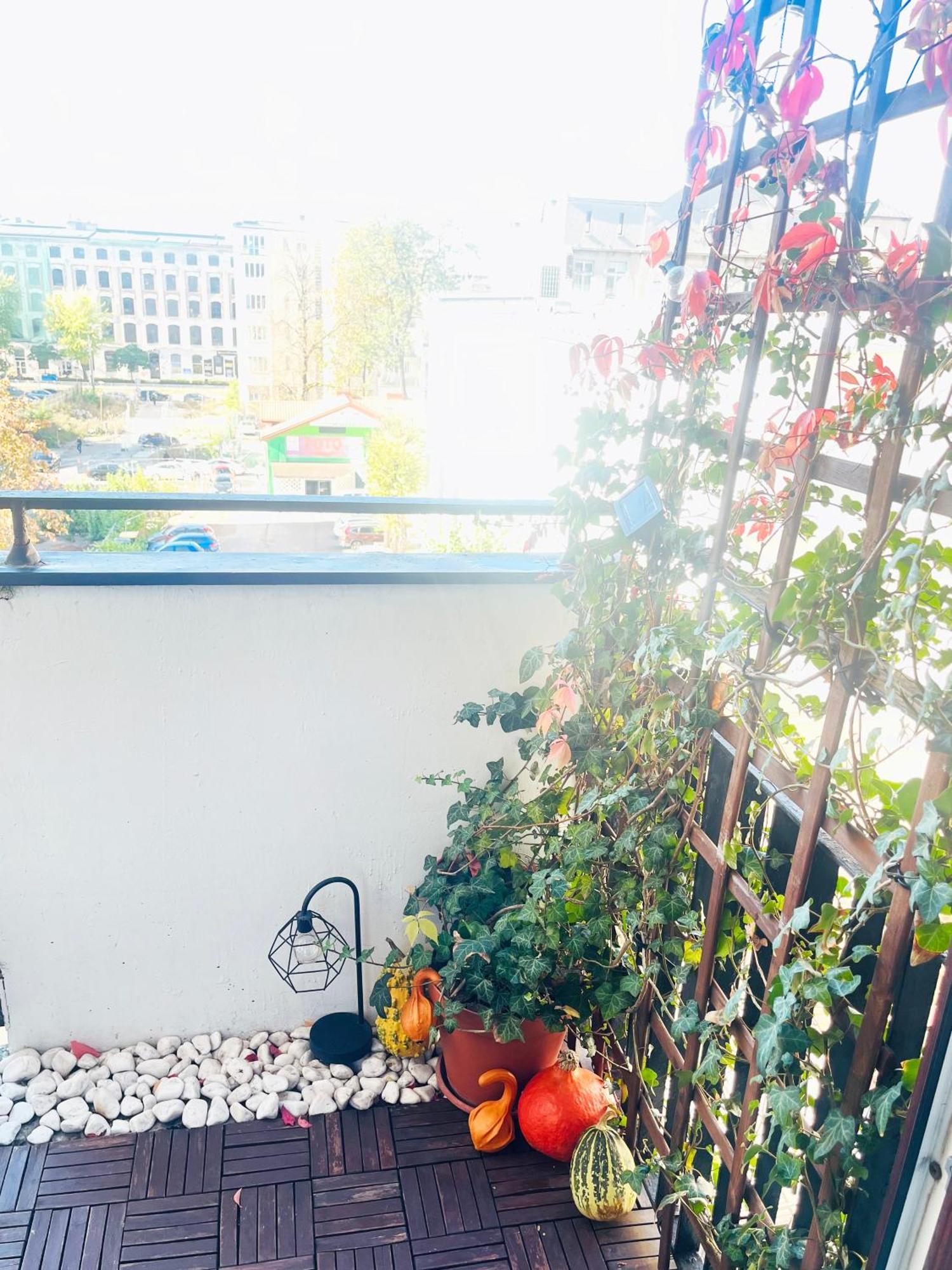 Apartament I Love Piotrkowska Z Wielkim Lustrem, Balkonem I Klimatyzacja وودج المظهر الخارجي الصورة